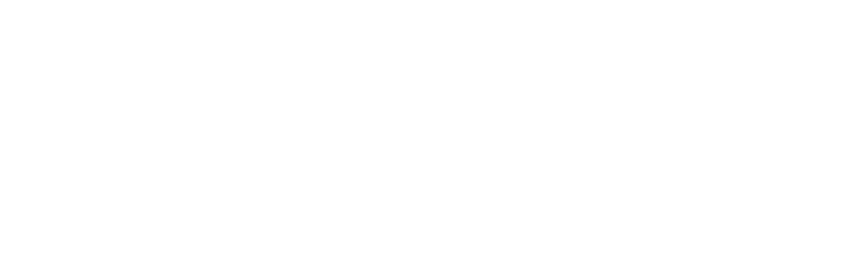 Paladin Web Group wordmark